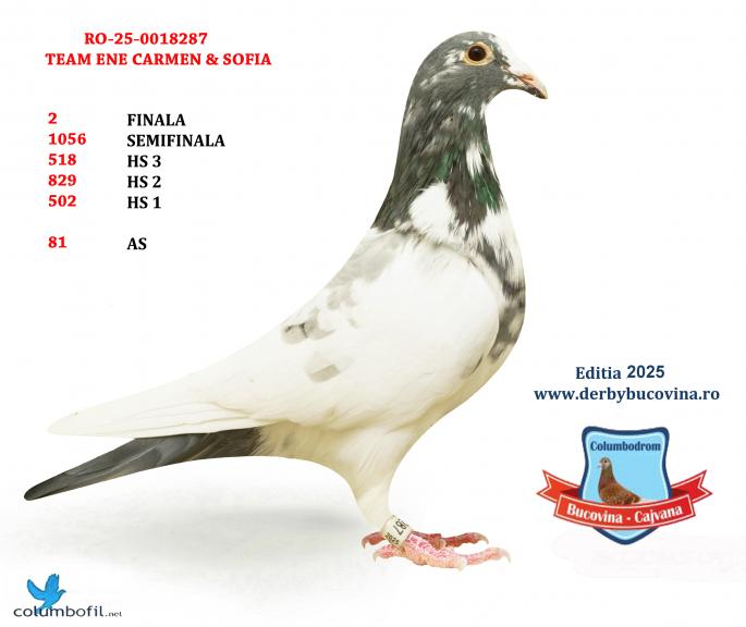 Loc 2 Finala Cajvana