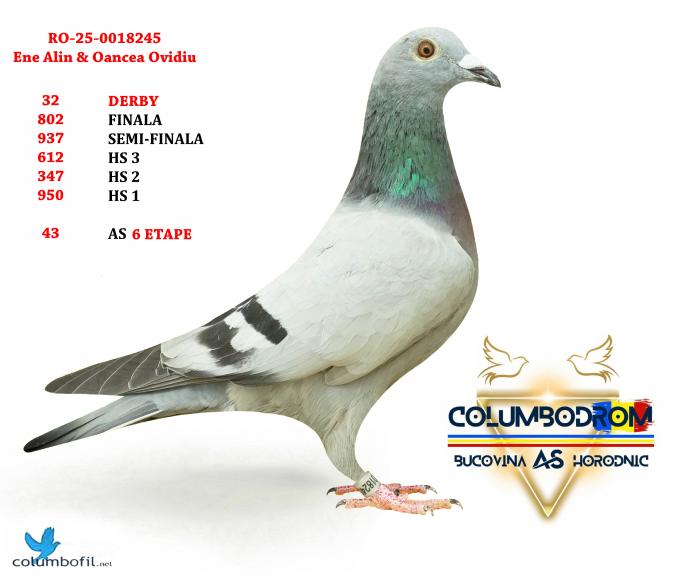 Loc 32 Derby Horodnic